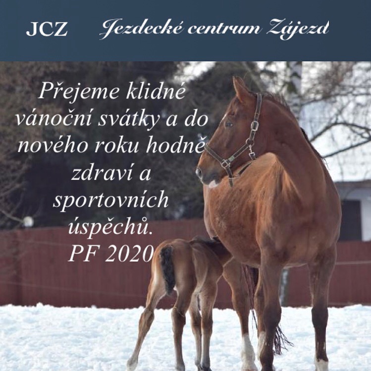 BFB6CF81-FFFA-4B0F-BE26-61D9EA7D16E6.jpeg
